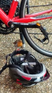 No one gets left behind, not even bikes…